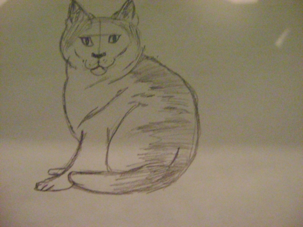 Creation of The Great Cat: Step 2